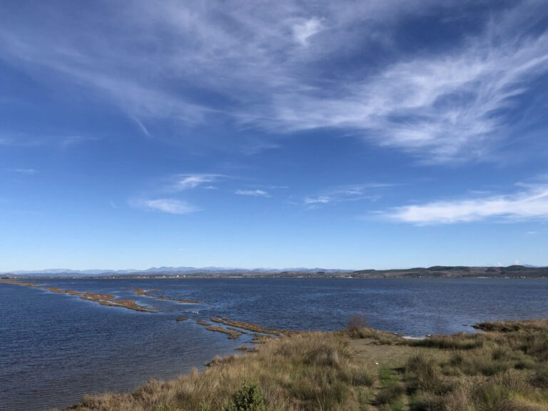 Appel à Petits Projets pour encourager la mise en œuvre de Solutions fondées sur la Nature en Méditerranée