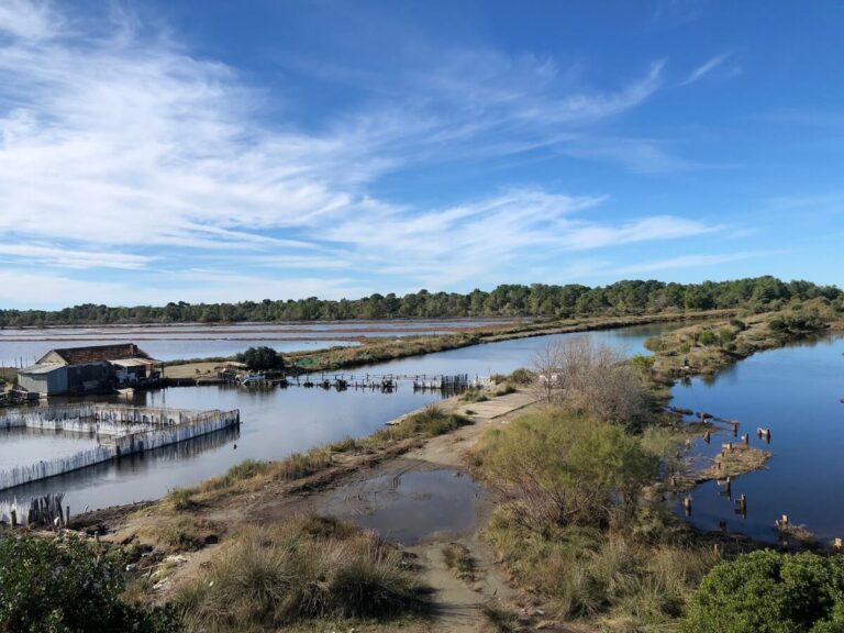 Appel à Petits Projets pour encourager la mise en œuvre de Solutions fondées sur la Nature en Méditerranée