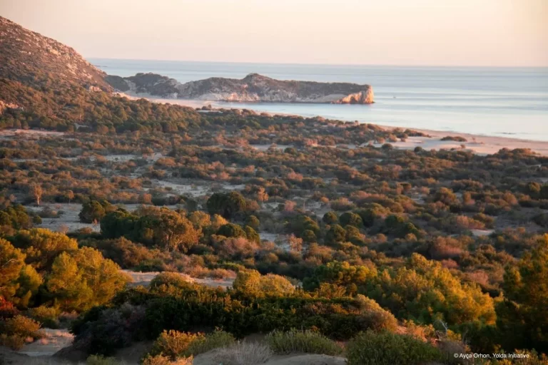 Three-day RESCOM event at Patara Special Environmental Protected Area (SEPA), Türkiye